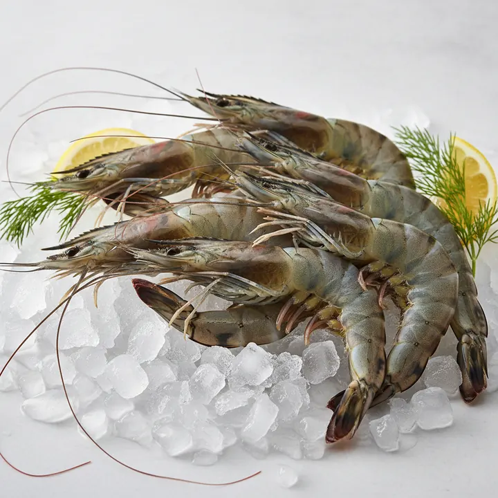 Tiger Shrimp